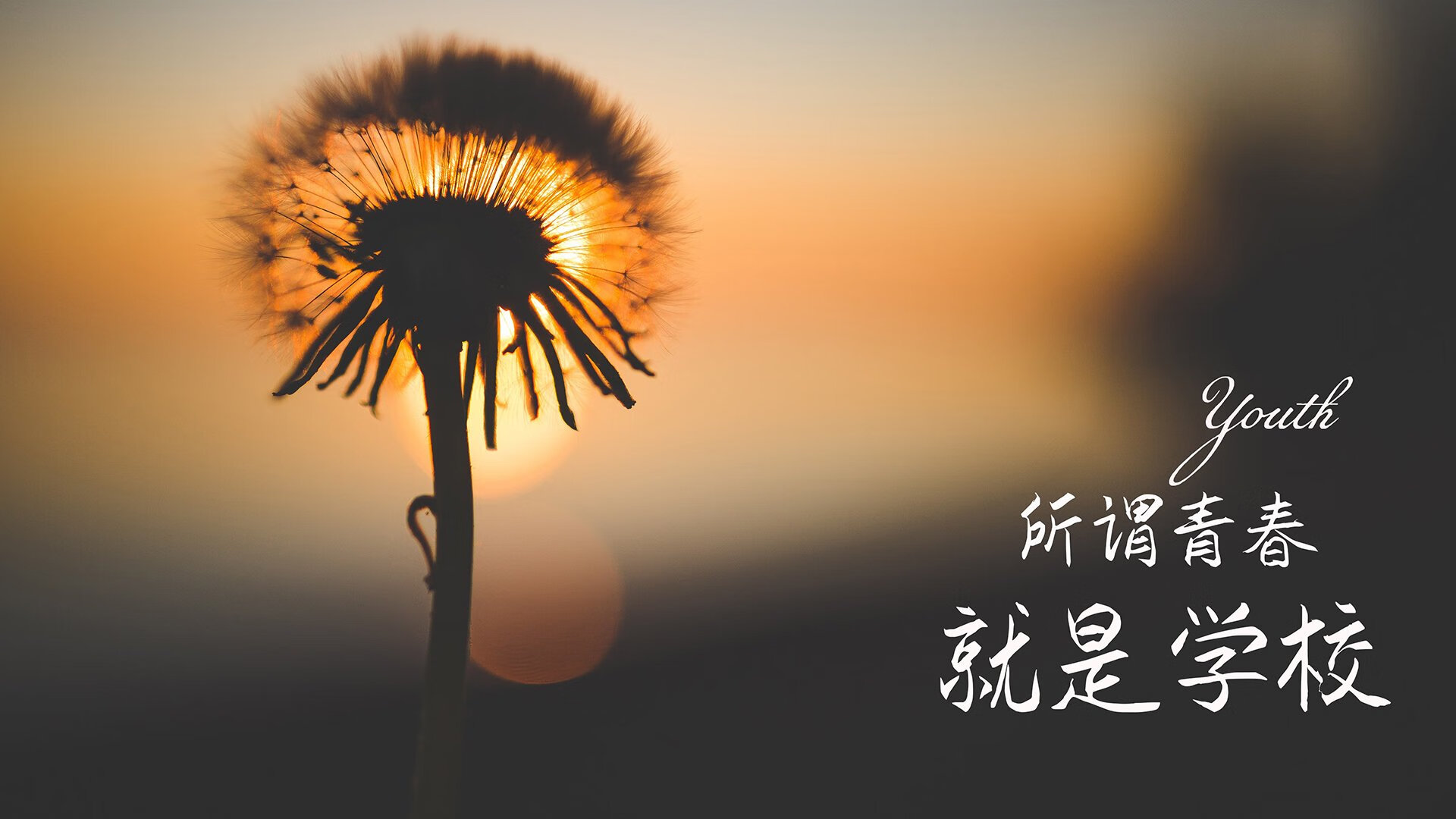 特色趣味田径赛，激发学生运动兴趣的创新赛事，什么叫趣味田径