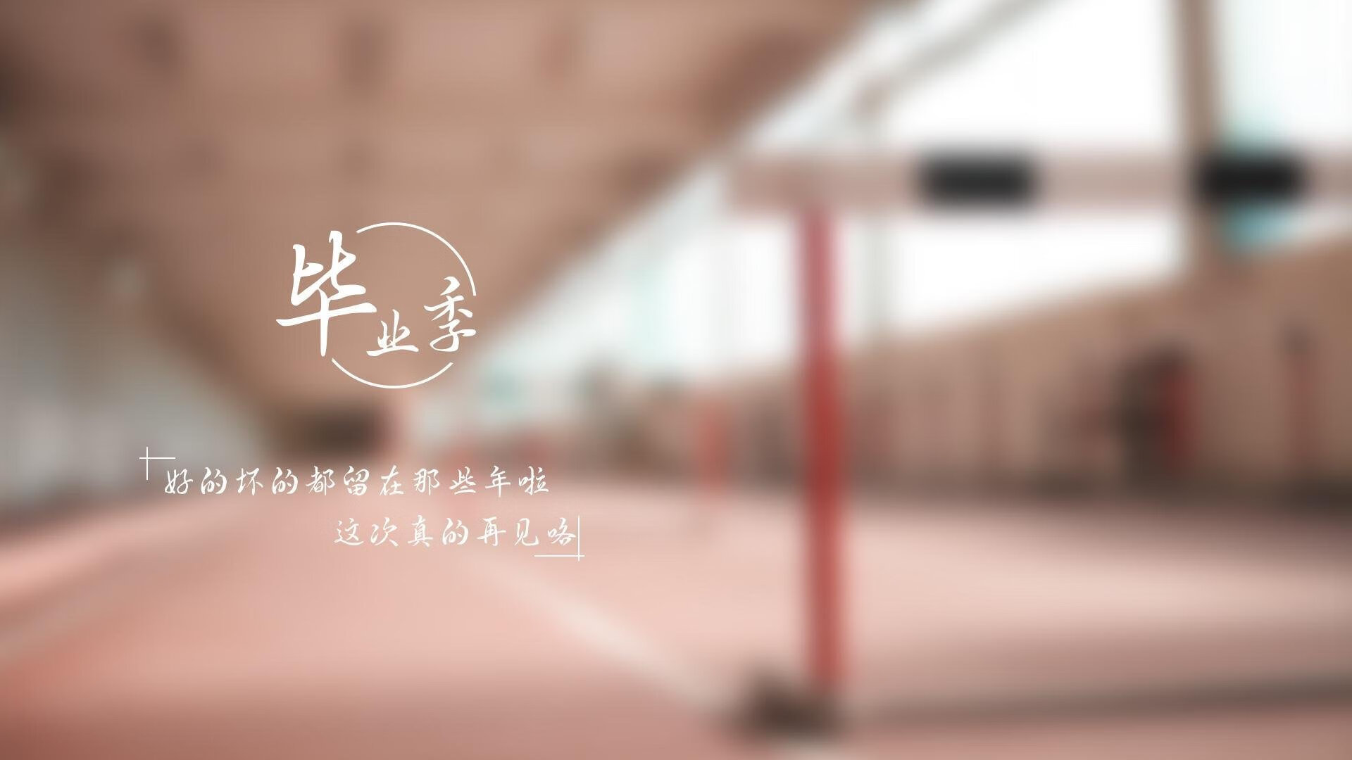 五大联赛是否应实施数字球员卡技术统一平台，五大联赛球迷数量