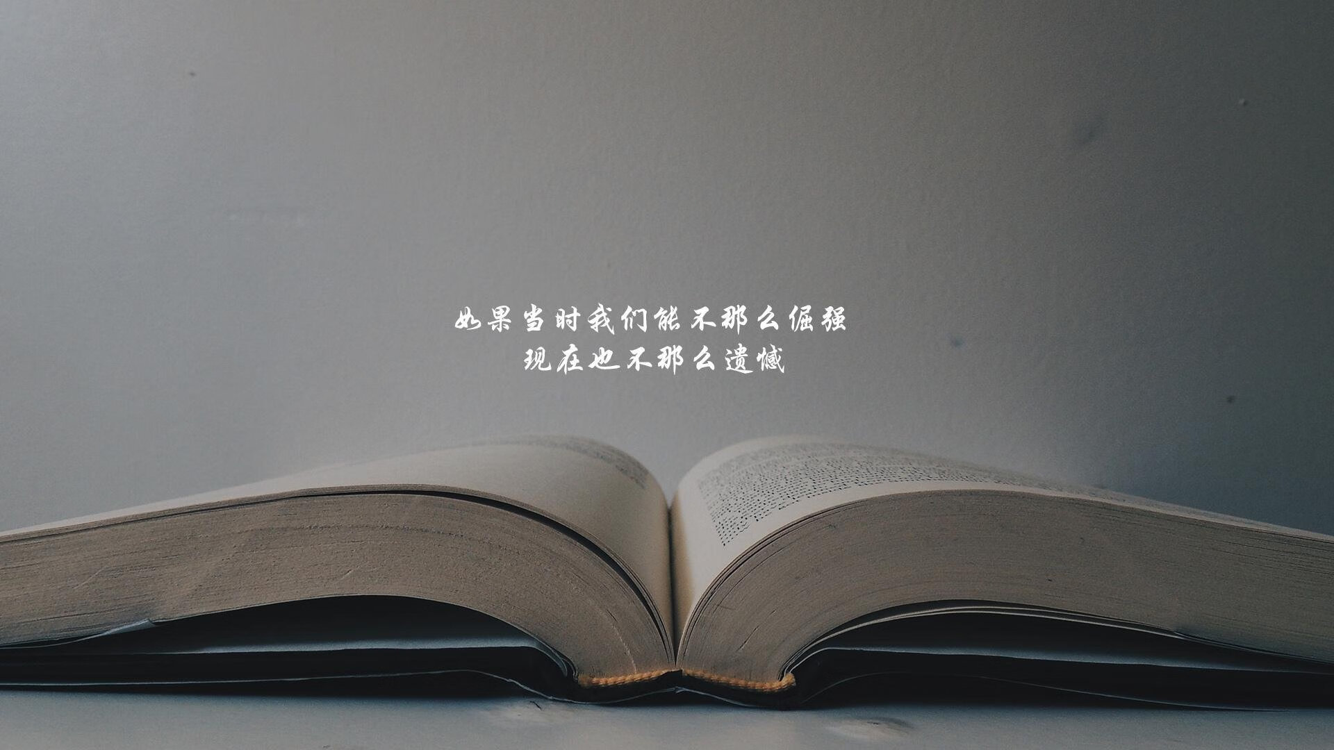 塞尔维亚联赛裁判判罚备受关注，塞尔维亚杯ds
