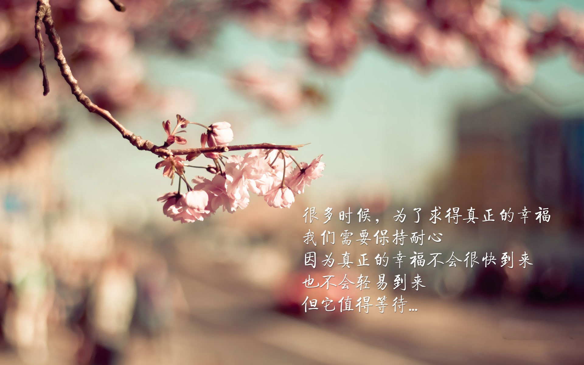 掘金队负于老鹰，步行者队在关键时刻稳定发挥，掘金队视频
