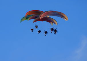 爱游戏体育客户端-英超球队结合疲劳评分系统动态分配替补上场时机，英超伤病报告_球员受伤成本逐年攀升