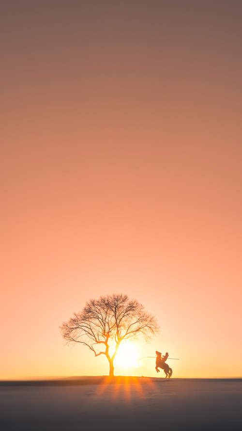 青少年体育社交行为与心理健康相关性研究,体育对青少年心理的影响