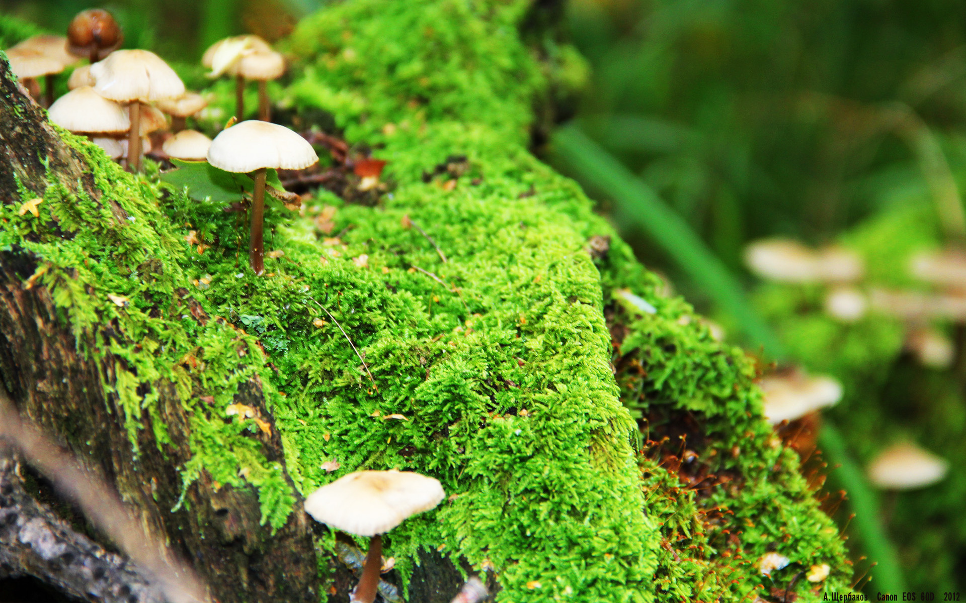 高校教学创新策略，高校教学创新策略研究