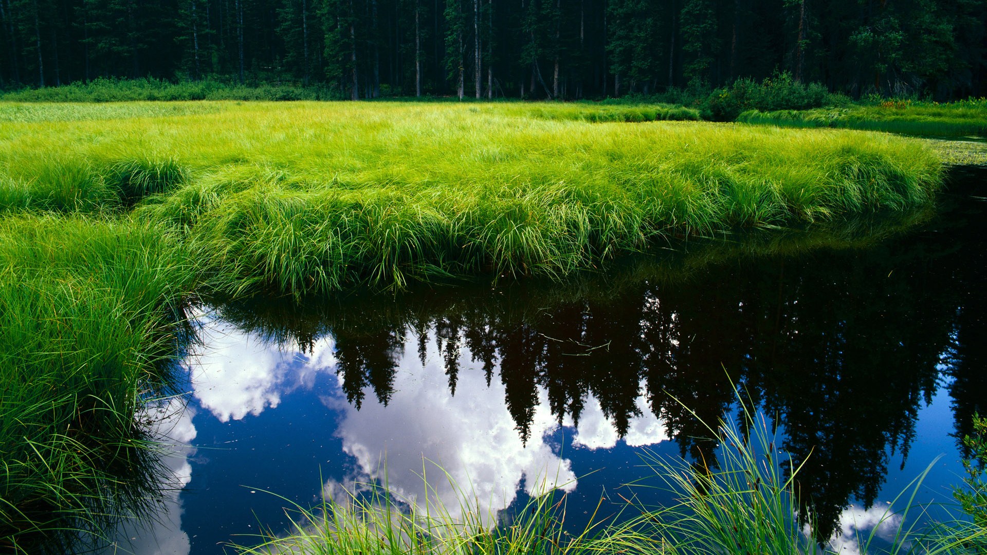 “皇马稳健出线,曼城险遭冷门”