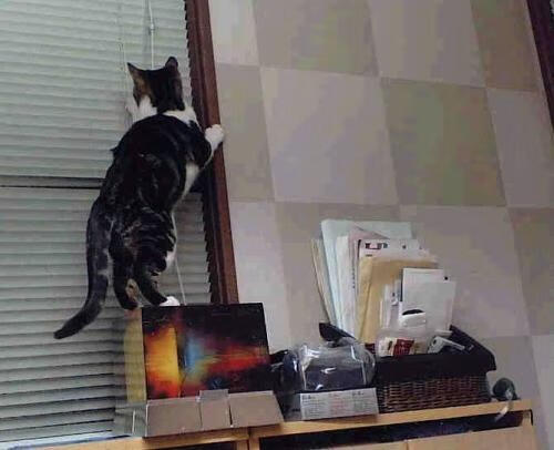 中国男篮主帅调整战术思路 强调防守优先,中国男篮前主帅