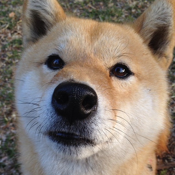 爱游戏体育-中国羽毛球队冬训全面加强技战术转换能力，羽毛球冬训的重要性