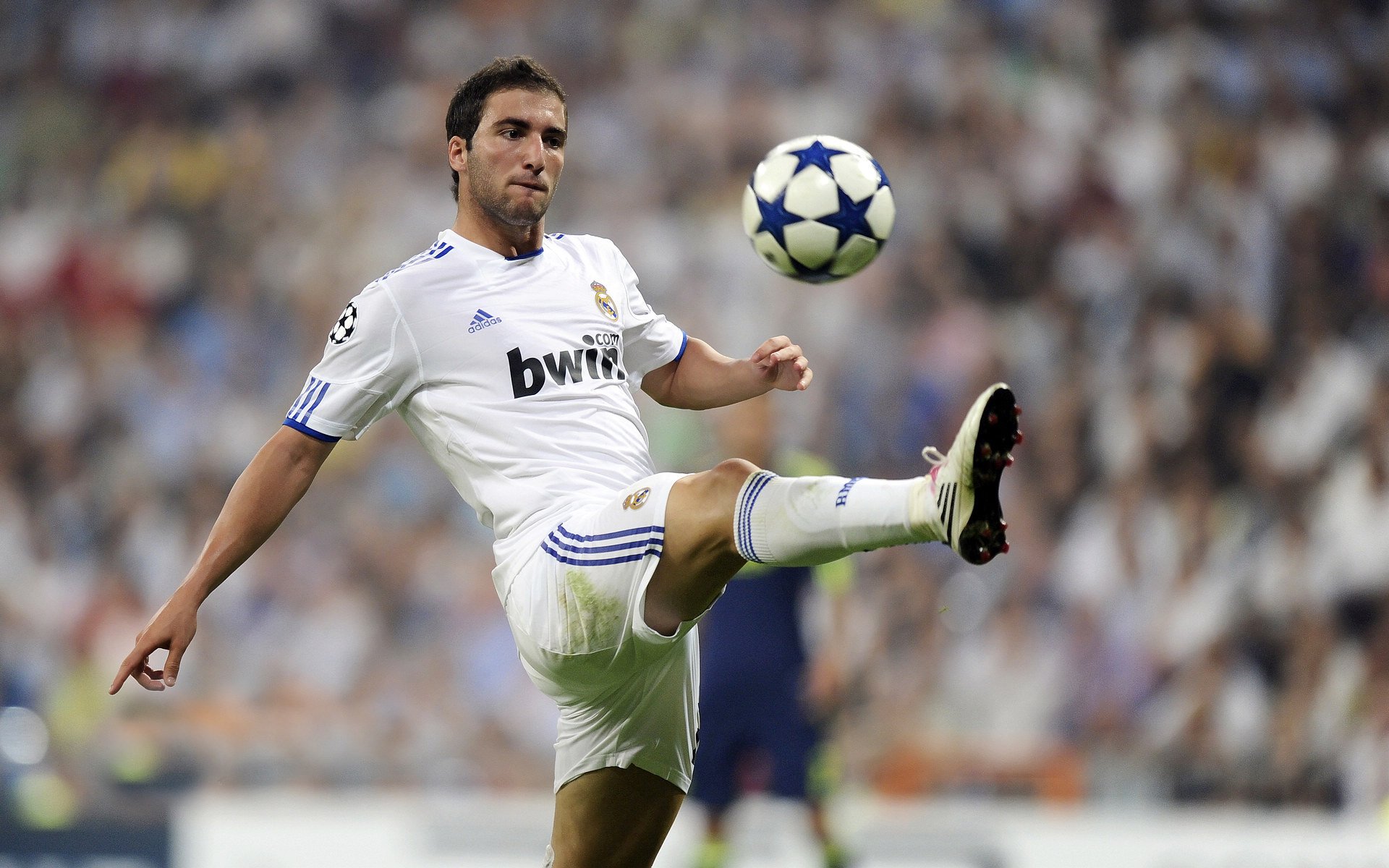 ayx-个性化装备:球杆、球鞋的个性定制火了,签名球杆